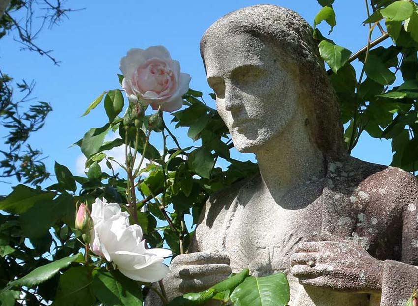 Le Sacré Coeur est une des dévotions principales des Soeurs Coopératrices.