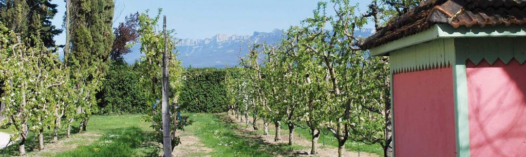 Au pied du Vercors (26) détail du parc de la Maison Nazareth, centre spirituel où sont donnés les Exerices de St Ignace