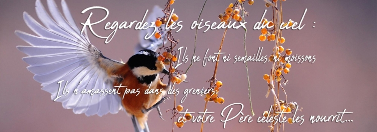 Les Soeurs cpcr vivent de la providence
